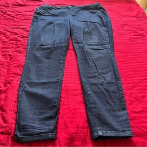 Lane Bryant Women's Dark Blue Jeans